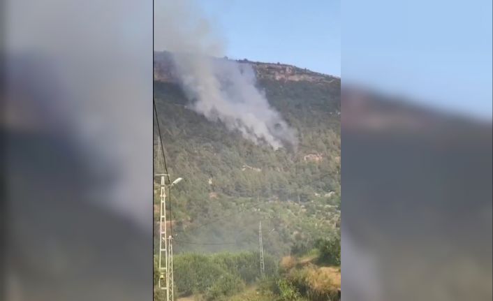 Mersin’de orman yangını