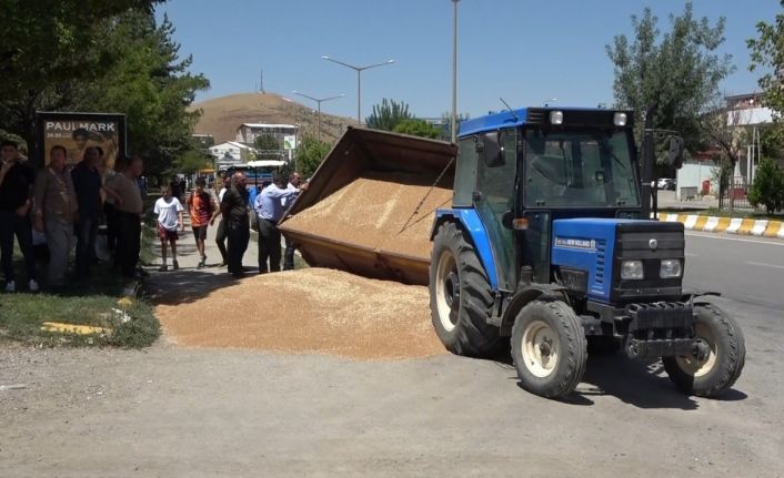 Muş’ta buğday yüklü römork devrildi