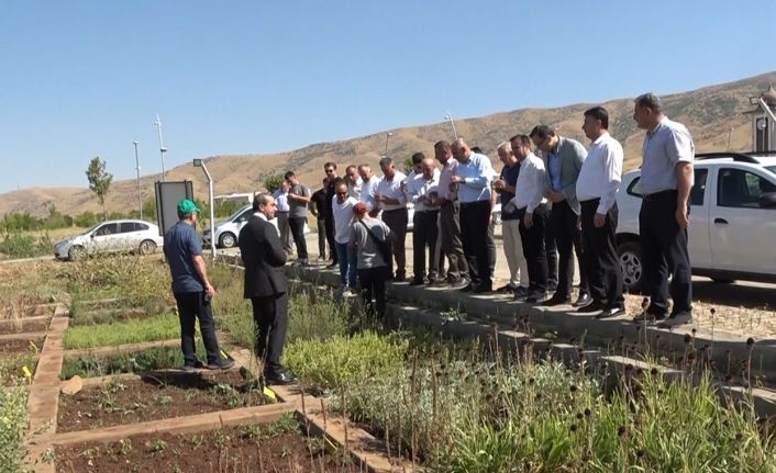 Muş’ta tıbbi ve aromatik bitkiler tanıtıldı