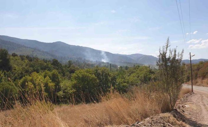 Orhaneli’de ormanlık alanda çıkan yangın söndürüldü
