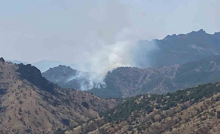 Orman Bölge Müdürü Çetiner: “Sarp ve kayalık bir alan olduğu için müdahalede zorluklar yaşanıyor”