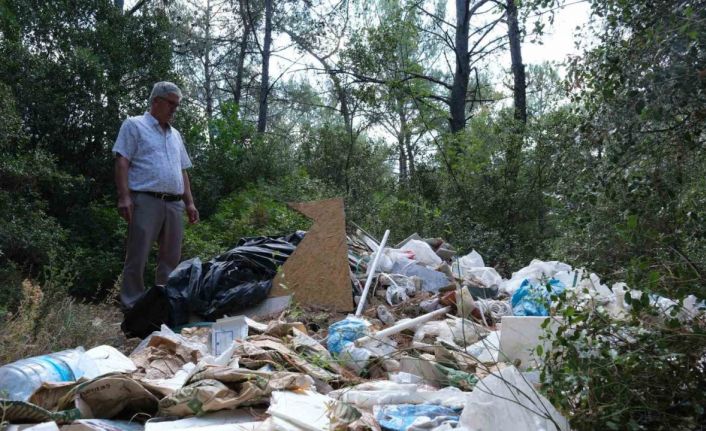 Ormana atılan çöpler isyan ettirdi: "Orman sizin çöplüğünüz mü?"