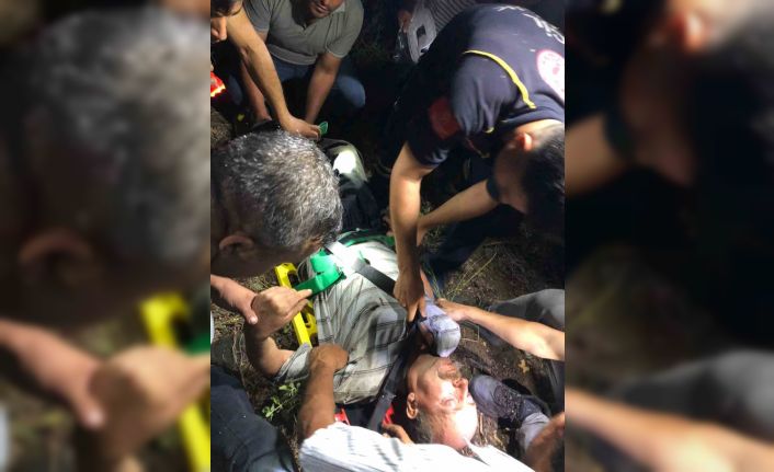 Ormanda arı ararken kayalıklardan düşen şahıs yaralandı