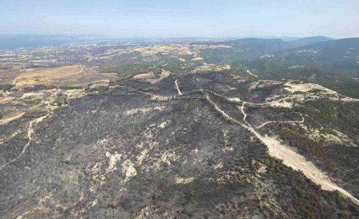 (Özel) Çanakkale’deki orman yangınlarında 5 bin 712 futbol sahası büyüklüğünde alan yandı