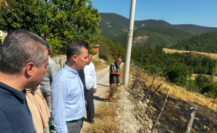Şahin, Çanakkale yangınında zarar gören bölgeleri ziyaret etti