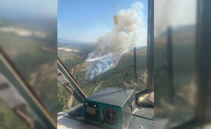 Saman yüklü araçta başlayan yangın, ormana sıçradı