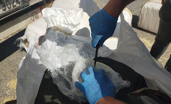 Samanların içine saklanmış 172 kilo 200 gram skunk ele geçirildi