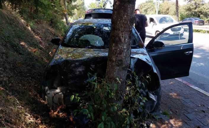 Samsun’da otomobil ağaca çarptı: 1 yaralı