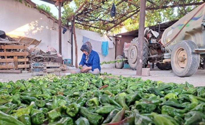Sarıgöl’de kışlık yiyecek hazırlığına başlandı
