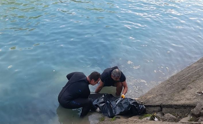 Serinlemek isterken sulama kanalında kaybolan genç kızı cesedi bulundu