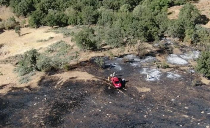 Siirt’te çıkan orman yangını kontrol altına alındı