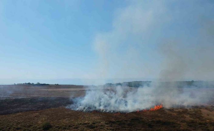 Sinop’ta makilik alanda yangın
