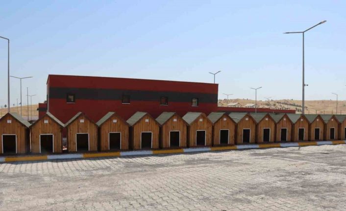 Sokak hayvanları rehabilitasyon merkezi inşaatı tamamlandı