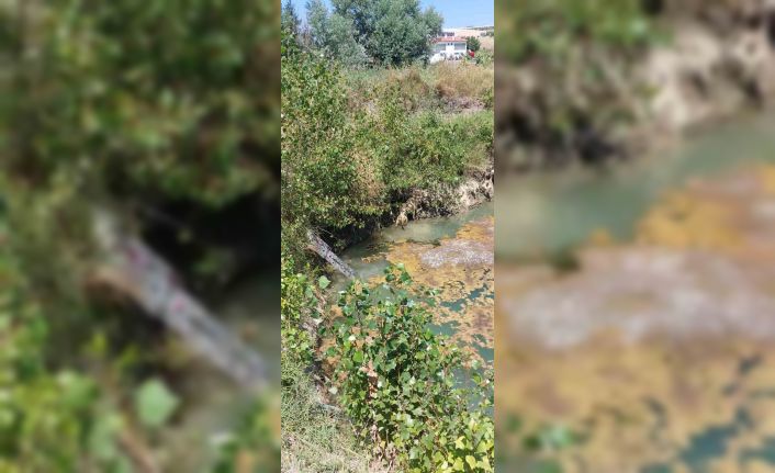 Su kuyusuna düşen köpeği itfaiye ekipleri kurtardı