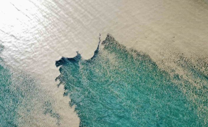 Suların çekilmesiyle Van Gölü sahilleri bataklığa dönüştü