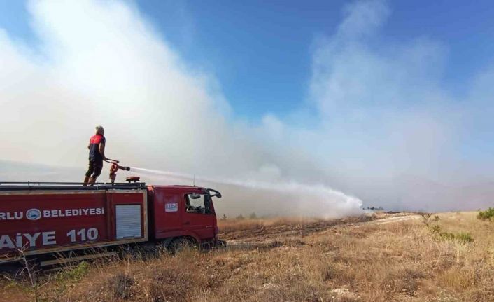Sungurlu’da 6 dönüm ağaçlık alan küle döndü