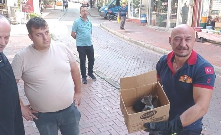 Tavşanlı’da iki duvar arasına sıkışan yavru kediyi itfaiye kurtardı