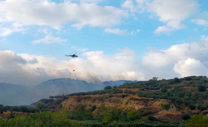 Tekirdağ’da orman yangını korkuttu