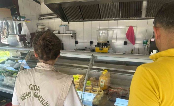 Toplu tüketim yerleri denetim kampanyası başladı