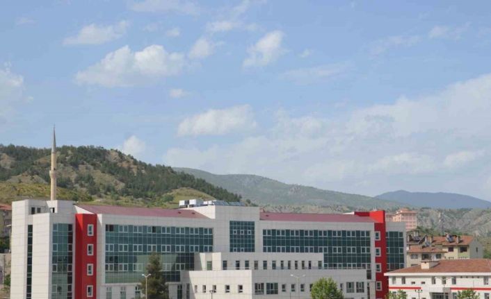 Tosya’da son iki ayda 80 kişi kene ısırması sebebiyle hastaneye müracaat etti