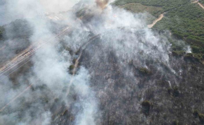 TÜBİTAK yerleşkesinde çıkan yangına 4 uçak ve 2 helikopterle müdahale sürüyor