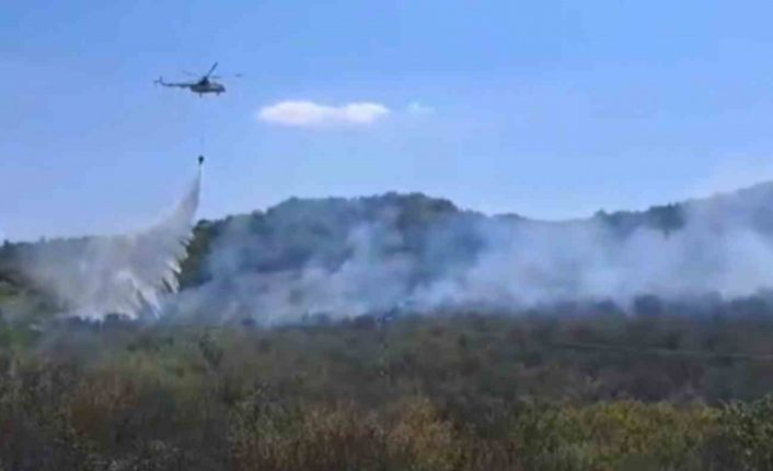 Türkiye-Bulgaristan sınırında orman yangını