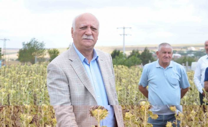 TZOB Başkanı Bayraktar: "Birçok ülke gıda milliyetçiliği yapıyor"