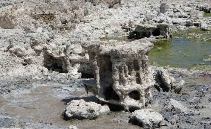 Van Gölü’nde sular çekilince yeni mikrobiyalitler ortaya çıktı