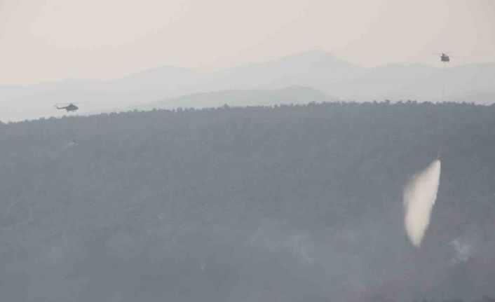 Yangına havadan güçlü müdahale devam ediyor