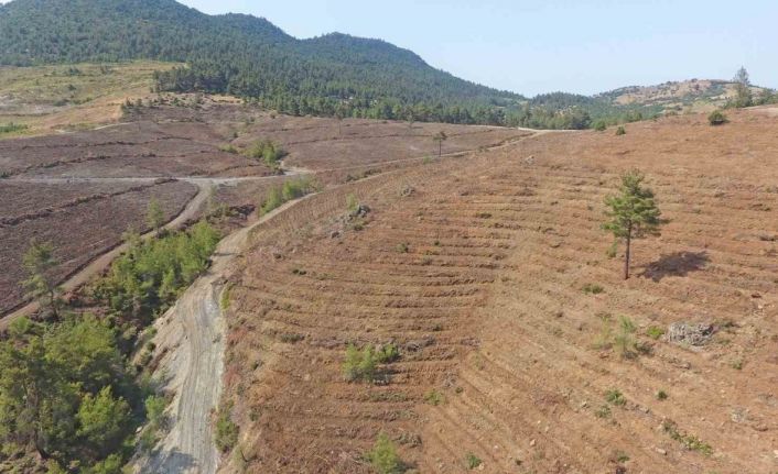 Yeşil Vatan toprakları nakış nakış işleniyor