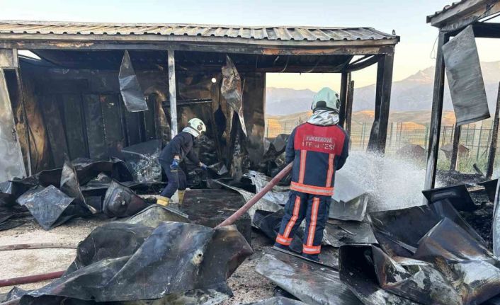 Yüksekova’da köpek barınağında çıkan yangın korkuttu