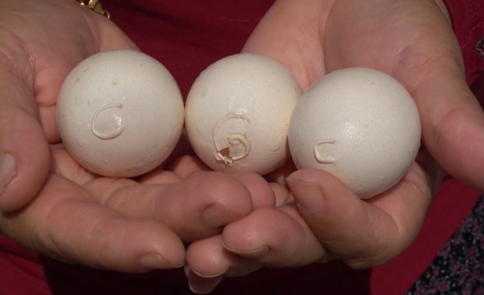 Yumurtanın üzerinde tavuğun sahibinin isim ve soy isminin baş harflerinin olduğu iddiası