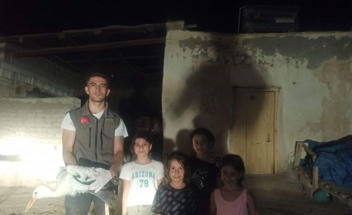 Yuvadan düşen leylek tedavi altına alındı