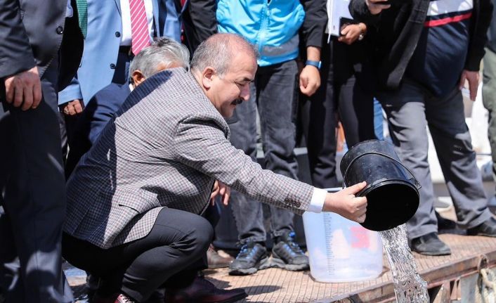 800 bin yavru sazan balığı suyla buluşturuldu