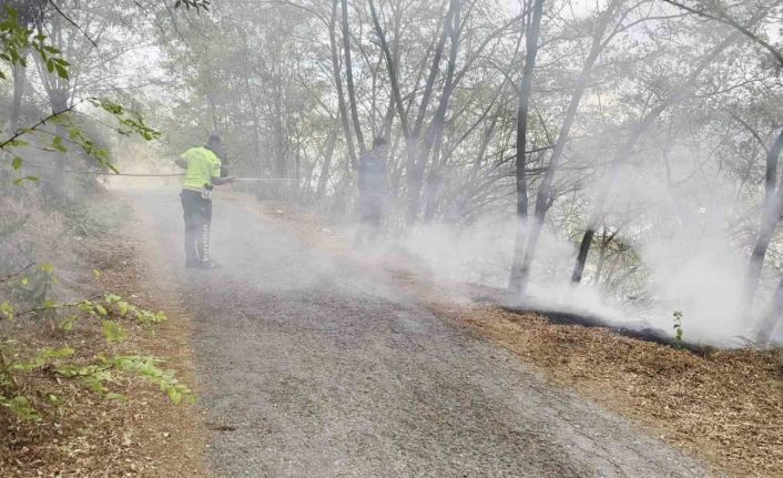 Ağaçlık alanda çıkan yangına polisten müdahale