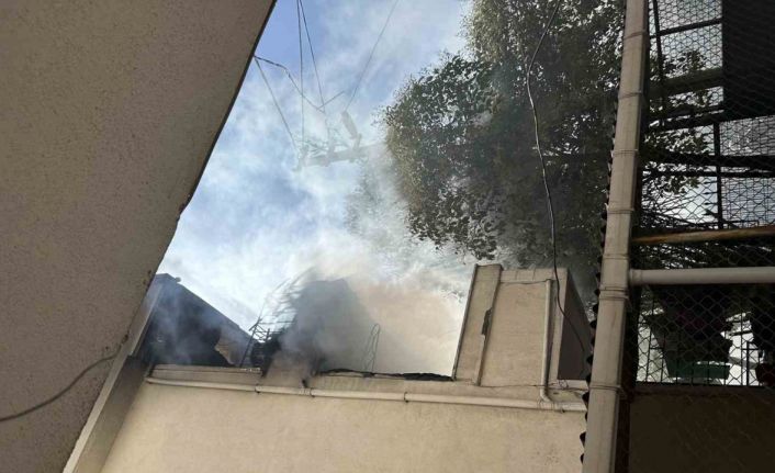 Alev alev yanan kayınpederinin evini kovayla su dökerek söndürmeye çalıştı