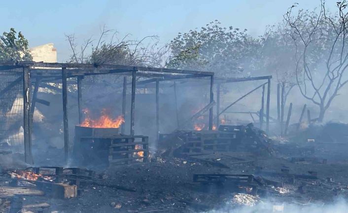 Anız yangını köpek barınağını küle çevirdi: Av köpekleri son anda kurtarıldı