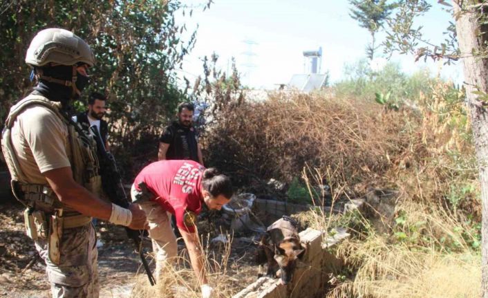 Antalya’da 300 polisle 15 adrese helikopter destekli eş zamanlı uyuşturu operasyonu