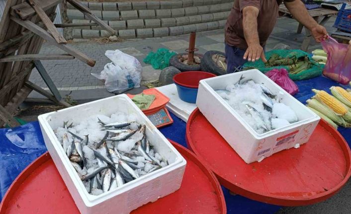 Av sezonu başladı, fiyatlar geriledi