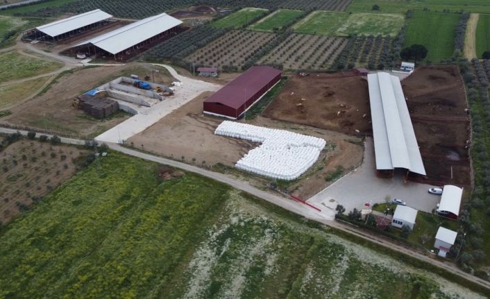 Bakan Yumaklı: “Damızlık düve yetiştiriciliği için 80 milyon TL hibe desteği sağladık”