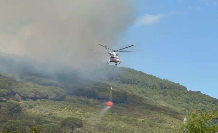 Başıbüyük Ormanı’nda çıkan yangına itfaiye ve helikopter müdahale ediyor