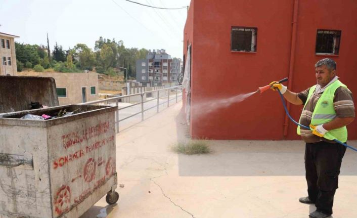 Başkan Yılmaz: "Narenciyeye büyük zarar veren Akdeniz meyve sineği ile mücadele ediyoruz"