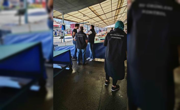 Beyşehir’de balıkların perakende satış noktaları denetlendi