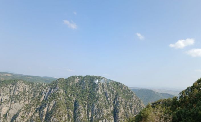 Bilecik’te çıkan orman yangını havadan ve karadan yapılan müdahalelerle kontrol altına alındı