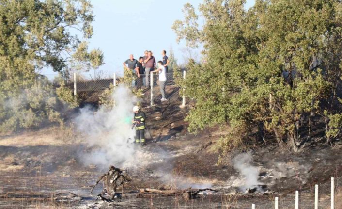 Bolu’da ot yangını ormana sıçramadan söndürüldü