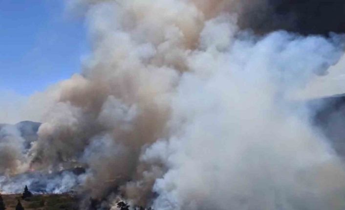 Bolu’daki orman yangınına 18 helikopter, 2 uçak ve 42 arazözle müdahale sürüyor