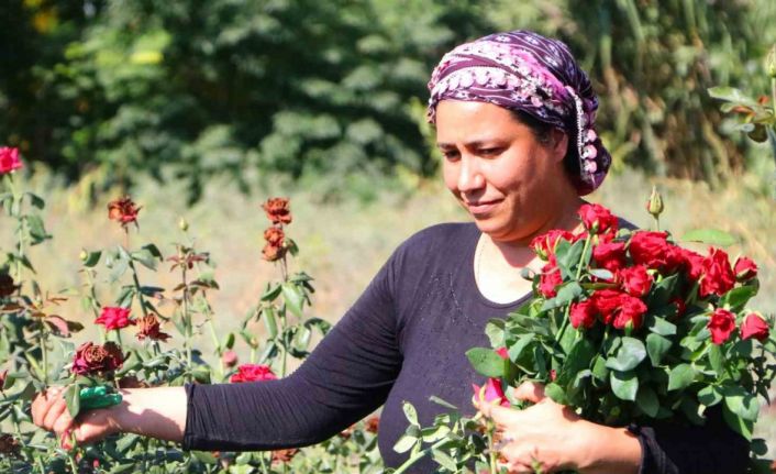 Bu sera hem işsiz kadınları istihdam ediyor hem de çocukların yüzünü güldürüyor