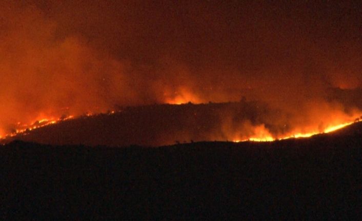 Bulgaristan-Türkiye sınırında orman yangını: Alevler Türkiye sınırına ilerliyor