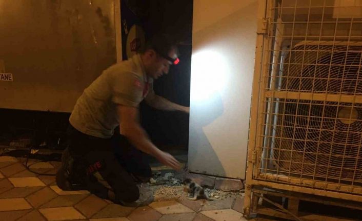 Burdur’da binanın dış cephe kaplamasının içine sıkışan kediler itfaiye tarafından kurtarıldı