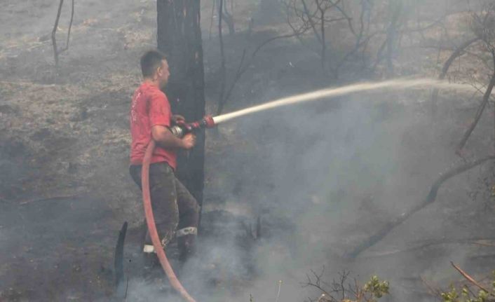 Bursa’da orman yangını arıları telef etti, ekipler alevlere böyle müdahale etti